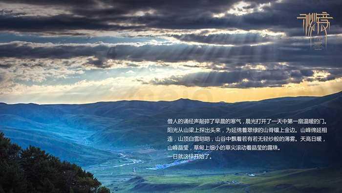 初二实验题 把一条鱼的头和尾鳍按住鱼还会动吗 不然鱼会怎么样- 专业有问必答平台